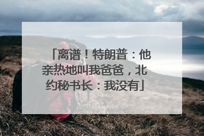 离谱！特朗普：他亲热地叫我爸爸，北约秘书长：我没有