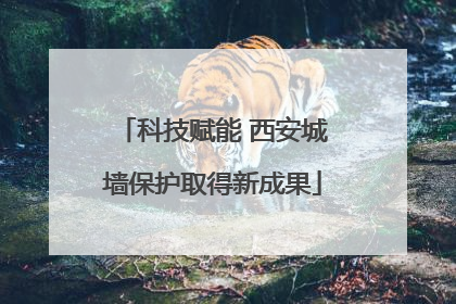 科技赋能 西安城墙保护取得新成果