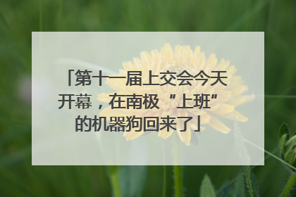 第十一届上交会今天开幕，在南极“上班”的机器狗回来了