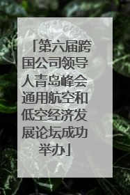 第六届跨国公司领导人青岛峰会通用航空和低空经济发展论坛成功举办