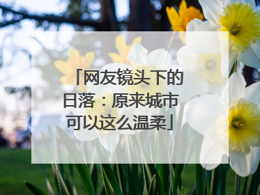 网友镜头下的日落：原来城市可以这么温柔