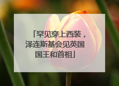 罕见穿上西装，泽连斯基会见英国国王和首相