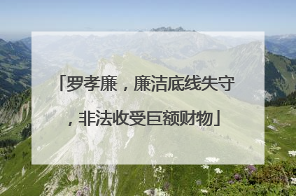罗孝廉，廉洁底线失守，非法收受巨额财物