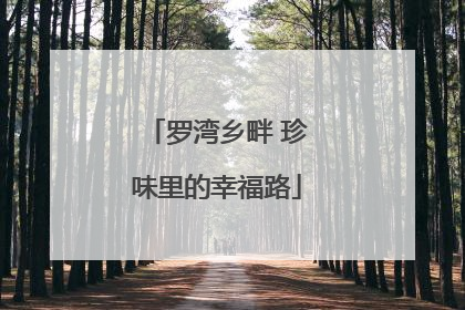 罗湾乡畔 珍味里的幸福路