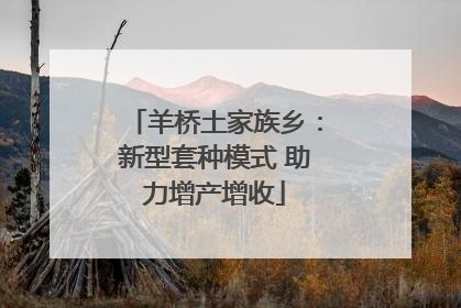 羊桥土家族乡：新型套种模式 助力增产增收