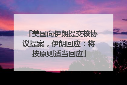 美国向伊朗提交核协议提案，伊朗回应：将按原则适当回应