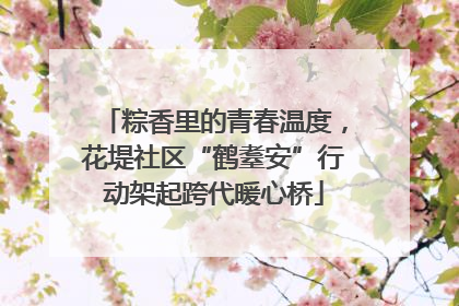 粽香里的青春温度，花堤社区“鹤耋安”行动架起跨代暖心桥