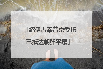 绍伊古奉普京委托已抵达朝鲜平壤