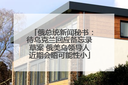 俄总统新闻秘书：待乌克兰回应备忘录草案 俄美乌领导人近期会晤可能性小