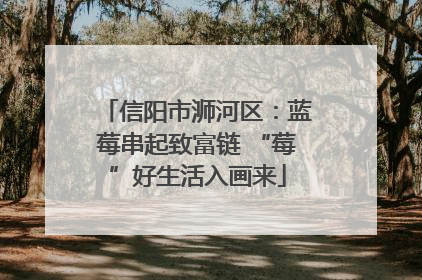信阳市浉河区：蓝莓串起致富链 “莓”好生活入画来