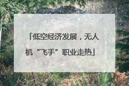 低空经济发展，无人机“飞手”职业走热