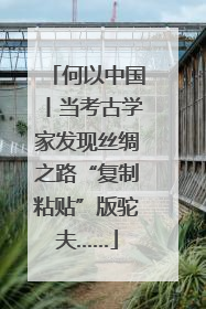 何以中国丨当考古学家发现丝绸之路“复制粘贴”版驼夫……