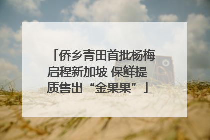 侨乡青田首批杨梅启程新加坡 保鲜提质售出“金果果”