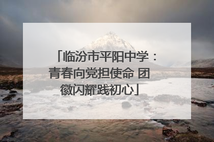 临汾市平阳中学：青春向党担使命 团徽闪耀践初心