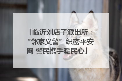 临沂刘店子派出所：“邻家义警”织密平安网 警民携手暖民心