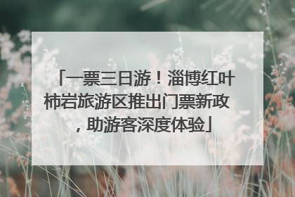 一票三日游！淄博红叶柿岩旅游区推出门票新政，助游客深度体验