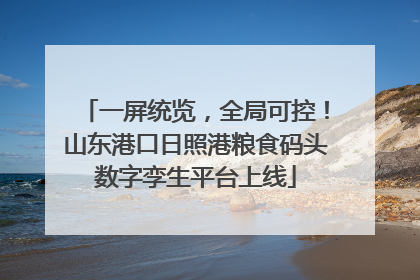 一屏统览，全局可控！山东港口日照港粮食码头数字孪生平台上线