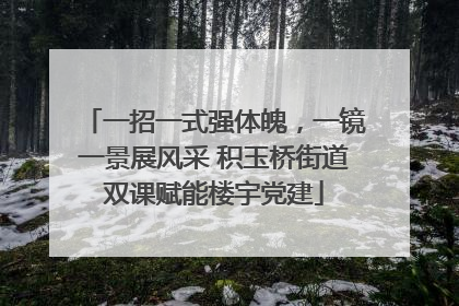 一招一式强体魄，一镜一景展风采 积玉桥街道双课赋能楼宇党建