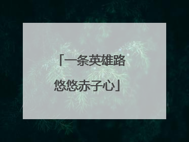一条英雄路 悠悠赤子心