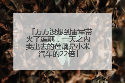 万万没想到雷军带火了莲藕，一天之内卖出去的莲藕是小米汽车的22倍