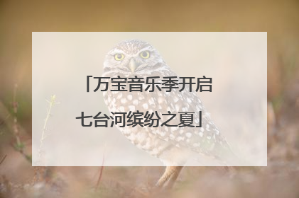万宝音乐季开启七台河缤纷之夏