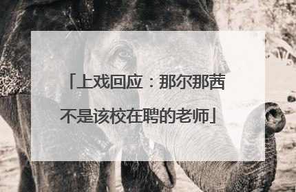 上戏回应：那尔那茜不是该校在聘的老师