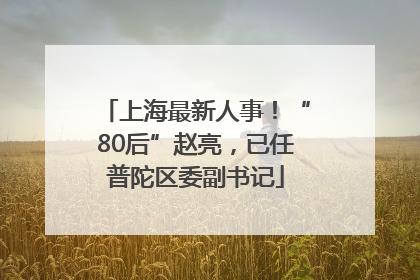 上海最新人事！“80后”赵亮，已任普陀区委副书记
