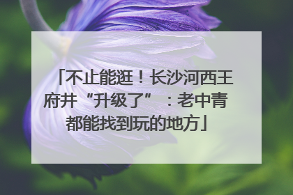 不止能逛！长沙河西王府井“升级了”：老中青都能找到玩的地方