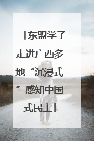 东盟学子走进广西多地“沉浸式”感知中国式民主