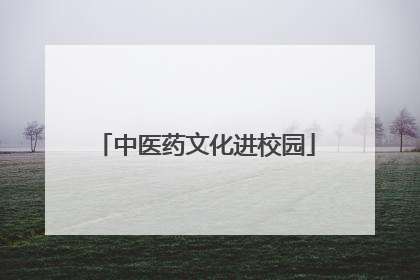 中医药文化进校园