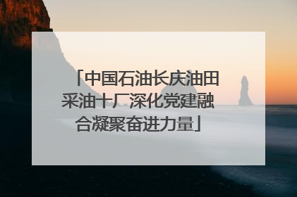 中国石油长庆油田采油十厂深化党建融合凝聚奋进力量