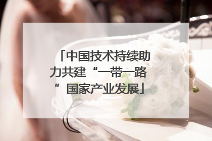 中国技术持续助力共建“一带一路”国家产业发展