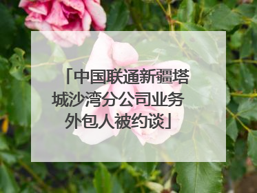 中国联通新疆塔城沙湾分公司业务外包人被约谈