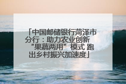 中国邮储银行菏泽市分行：助力农业创新 “果蔬两用”模式 跑出乡村振兴加速度