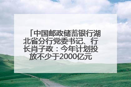 中国邮政储蓄银行湖北省分行党委书记、行长肖子政：今年计划投放不少于2000亿元支持支点建设