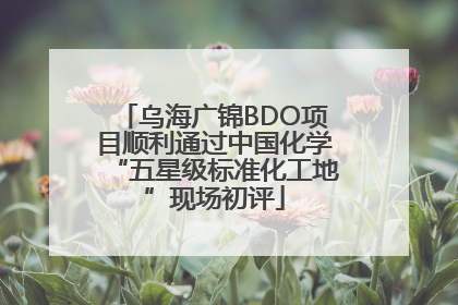 乌海广锦BDO项目顺利通过中国化学“五星级标准化工地”现场初评