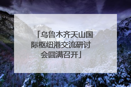乌鲁木齐天山国际枢纽港交流研讨会圆满召开