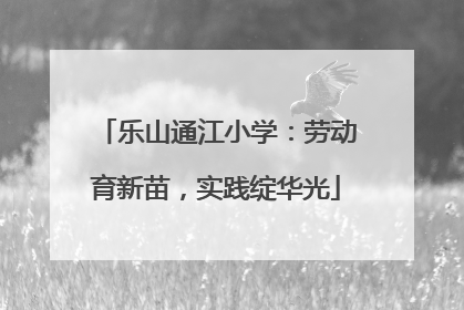 乐山通江小学：劳动育新苗，实践绽华光