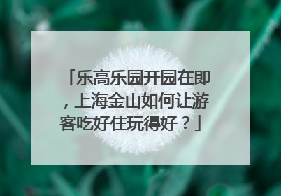 乐高乐园开园在即，上海金山如何让游客吃好住玩得好？