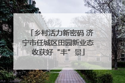 乡村活力新密码 济宁市任城区田园新业态收获好“丰”景