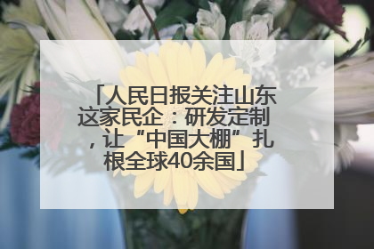 人民日报关注山东这家民企：研发定制，让“中国大棚”扎根全球40余国