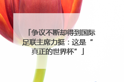争议不断却得到国际足联主席力挺：这是“真正的世界杯”