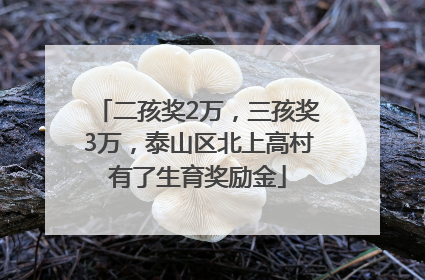 二孩奖2万，三孩奖3万，泰山区北上高村有了生育奖励金