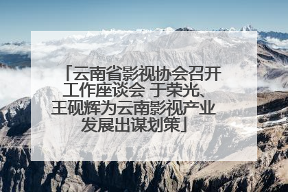 云南省影视协会召开工作座谈会 于荣光、王砚辉为云南影视产业发展出谋划策