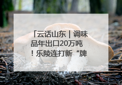 云话山东｜调味品年出口20万吨！乐陵连打新“牌”助力企业出海