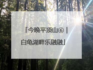 今晚平顶山⑥｜白龟湖畔乐融融