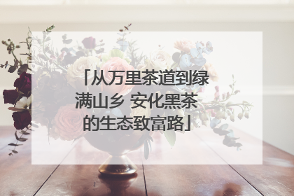 从万里茶道到绿满山乡 安化黑茶的生态致富路