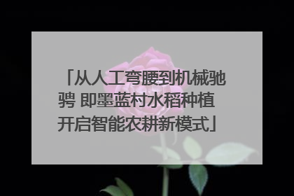 从人工弯腰到机械驰骋 即墨蓝村水稻种植开启智能农耕新模式
