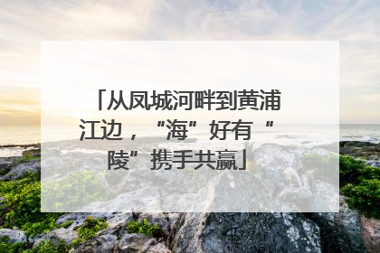 从凤城河畔到黄浦江边，“海”好有“陵”携手共赢