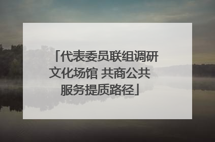 代表委员联组调研文化场馆 共商公共服务提质路径
